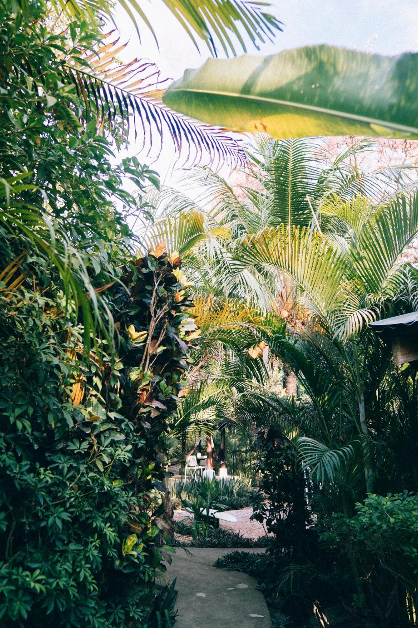 Shaka Costa Rica, Steps From The Beach Hotel Playa Hermosa Cobano Exterior photo